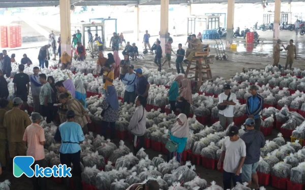 Thumbnail Berita - Hasil Perikanan TPI Kota Pekalongan Melonjak, Desember 2025 Capai 1.200 Ton