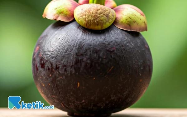 Manggis, Si Ratu Buah Kaya Manfaat