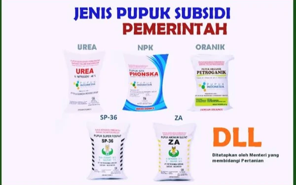 Thumbnail Bersikap Sopan, Tiga Terdakwa Kasus Pupuk Ilegal di PN Tuban Divonis Ringan