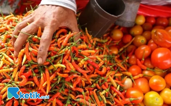 Thumbnail Harga Tomat dan Cabe di Pasar Labuha Halsel Melonjak, Cuaca Jadi Pemicu
