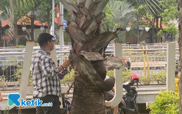 Thumbnail Begini Alasan Pemburu Koin Jagat hingga Rusak Fasum Surabaya