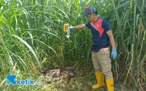 Thumbnail Penemuan Kerangka Manusia di Persawahan Srengat Blitar Gegerkan Warga