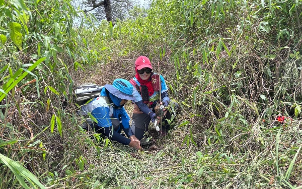 Thumbnail Hijaukan Ranupani, Balai Besar TNBTS Tanam 1.400 Bibit Spesies Asli