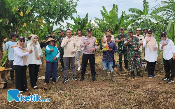 Wujudkan Swasembada Pangan, Tani Merdeka Kota Metro Tanam Jagung dengan Tumpang Sari