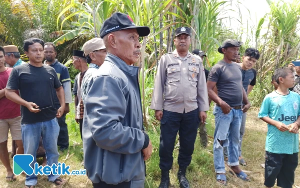Thumbnail Berita - Lagi Warga Rantau Gedang Singkil Jadi Korban Keganasan Buaya