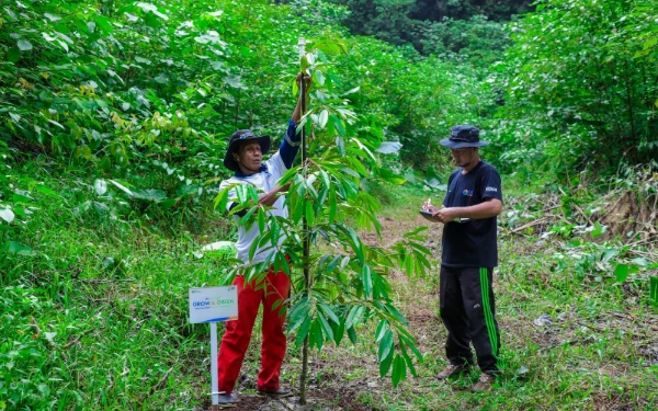 Program BRI Menanam, Lawan Perubahan Iklim dan Dongkrak Ekonomi Warga Berau