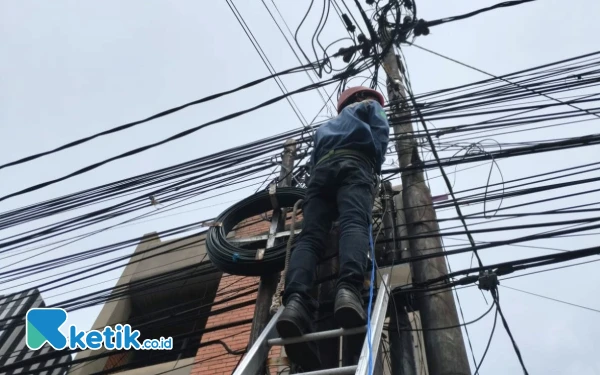 Thumbnail PLN Icon Plus Peduli Estetika dan Keselamatan Masyarakat dengan P3AK