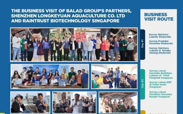 Thumbnail 4 Negara Siap Kolaborasi Budidaya Lobster Balad Grup
