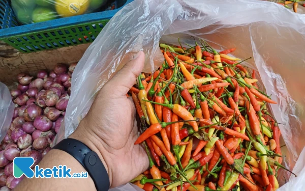 Thumbnail Awal Ramadhan, Harga Cabai Rawit Merah di Jatim Capai Rp120 Ribu Per Kilogram