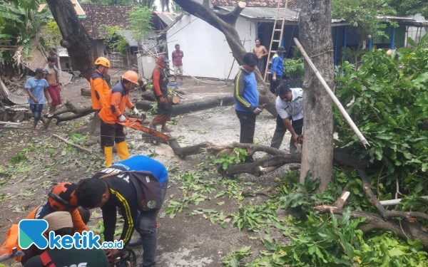 Thumbnail Diterjang Angin Kencang, 8 Rumah Warga Situbondo Rusak