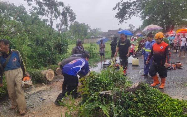 Thumbnail Berita - Pemotor Patah Kaki Saat Angin Kencang Disertai Hujan Deras, Tercatat 7 Lokasi Banyak Pohon Tumbang