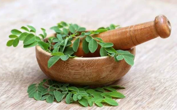 Thumbnail 4 Manfaat Daun Kelor Untuk Kesehatan, Nomor 2 Paling Penting