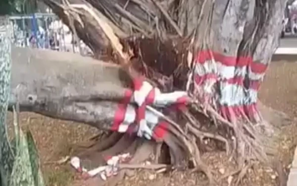 Thumbnail Berita - Hari Raya Berubah Duka: Pohon Tumbang Timpa Jemaah Salat Id di Pemalang, 2 Tewas