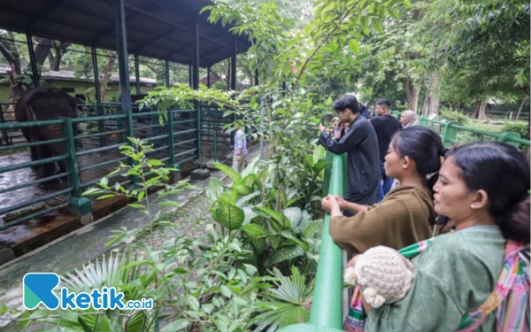 Thumbnail KBS Target 115 Ribu Pengunjung Saat Libur Lebaran 2025