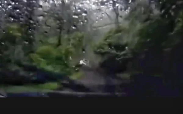 Thumbnail Berita - Mengerikan! Longsor di Pacet-Cangar Timpa 2 Mobil, Jalur Utama Mojokerto Lumpuh