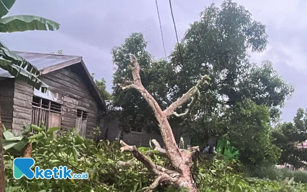 Thumbnail Desa Sawadai Halsel Diterjang Angin Kencang, Satu Rumah Warga Rusak
