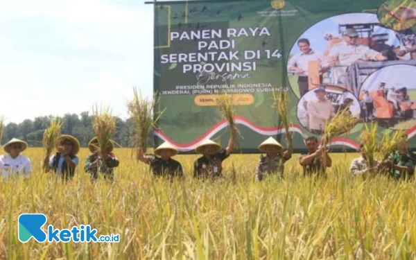 Thumbnail Berita - Dispertan Sebut Peringkat Produktivitas Padi di Pemalang Naik