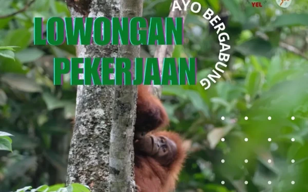 Thumbnail Yayasan Ekosistem Lestari Mencari Manager Pusat Reintroduksi Orang Utan, Penempatan Aceh!