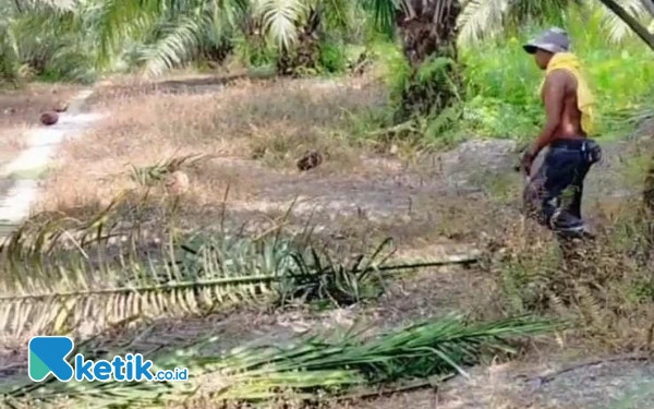 Thumbnail Rebut Cuan di Negeri Seberang, Pacitan Pasok Tiga Pekerja Migran Pascalebaran