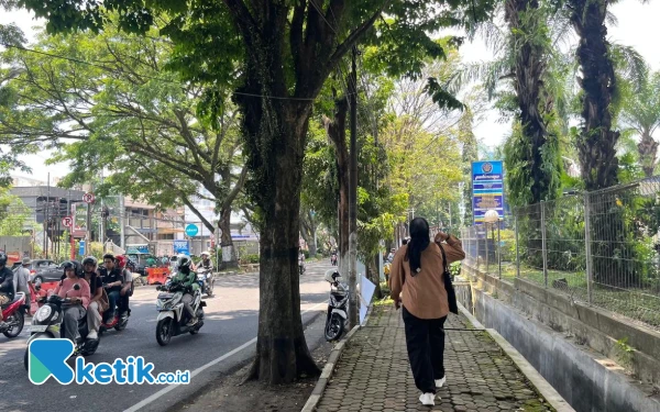 Thumbnail DLH Kota Malang Siapkan Rp300 Juta untuk Penanganan Pohon Terdampak Proyek Drainase Jalan Soehat