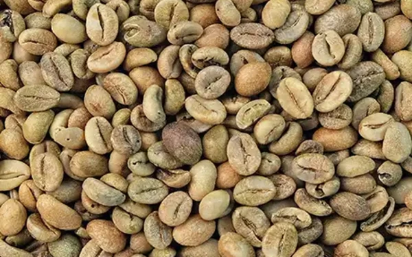 Thumbnail Kopi Hijau, Solusi Hidup Sehat di Tengah Fenomena Hustle Culture