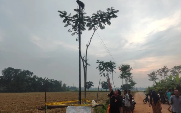 Kejar Layangan, Bocah 10 Tahun Meninggal Dunia Tersengat Listrik