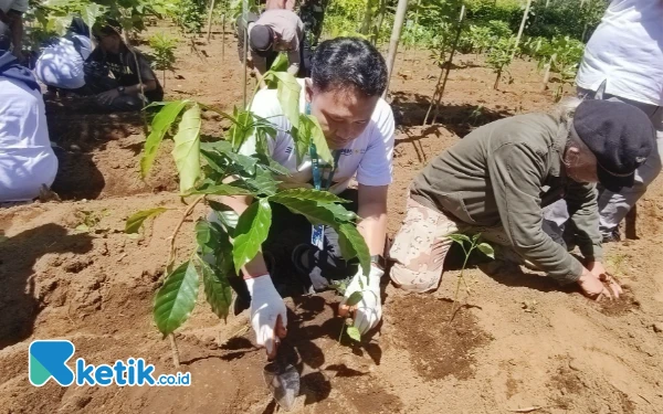 Thumbnail Ketahanan Pangan dan Konservasi Lingkungan Jadi Garapan TJSL PLN Icon Plus dan PNM