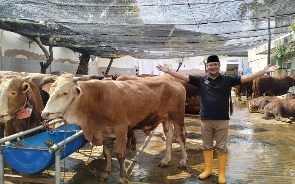 Thumbnail Sambut Idul Adha, RPH Surabaya Buka Layanan "Qurban Amanah 2025"