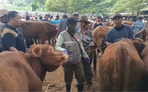 Thumbnail Berita - Jelang Idul Adha 1446 Hijriah, DKP2P Tuban Tingkatkan Pengawasan Hewan Kurban