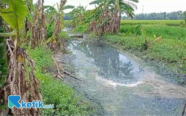 Thumbnail Berita - Aliran Sungai di Jogoroto Jombang Diduga Tercemar Limbah Pabrik Tahu, Warga Resah