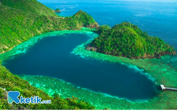 Thumbnail Berita - HUT Ke-22 Kabupaten Raja Ampat: Menelisik Awal Terbentuknya Raja Ampat hingga Mendunia