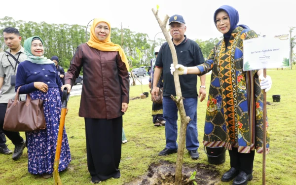 Tanam Pohon Maja di IKN, Khofifah Tumbuhkan Optimisme Wujudkan Jatim Gerbang Baru Nusantara