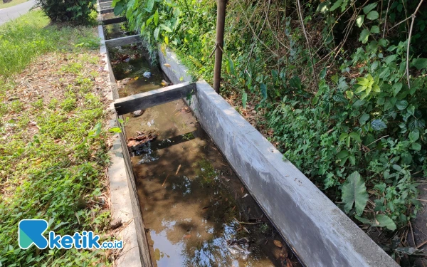 Thumbnail Berita - Polemik Dugaan Potongan Pokir DPRD Jombang Bakal Dilaporkan ke APH, Aktivis: Ada yang di Luar Dapil