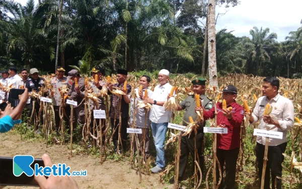 Thumbnail Bupati Aceh Singkil Raker Teknis Pengendalian Inflasi, Wabup Panen Raya Jagung