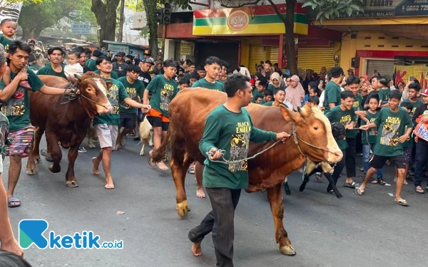 Thumbnail Menjelang Idul Adha, 7.500 Hewan Kurban di Kota Malang Segera Diperiksa