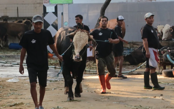 Thumbnail DKPP Surabaya Perkenalkan Aplikasi Baru untuk Lalu Lintas Hewan Kurban