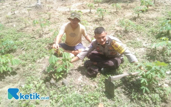 Thumbnail Berita - Dukung Ketahanan Pangan, Bhabinkamtibmas Polres Langsa Tanam Singkong Terong dan Sawi