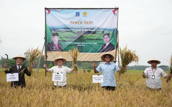 Thumbnail Berita - Pemkab Sleman-Kementan RI Panen Padi dan Percepatan Tanam
