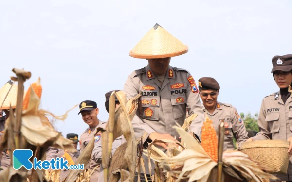 Thumbnail Berita - Dukung Ketahanan Pangan, Polres Madiun Panen 1 Ton Jagung