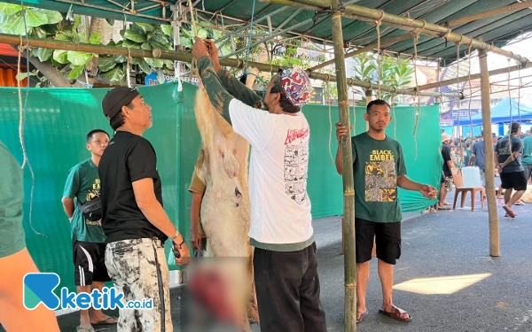 Thumbnail Sambut Iduladha, 750 Mahasiswa Dikerahkan Pantau Kualitas Hewan Kurban di Kota Malang