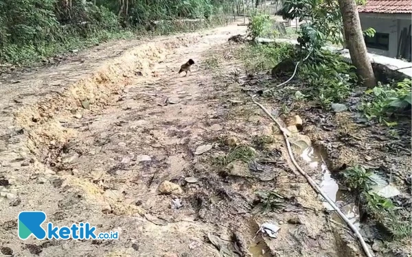 Thumbnail Jalan di Desa Batoporo Timur Nyaris Longsor, Warga Tutup Sementara Akses Jalan Antar Desa