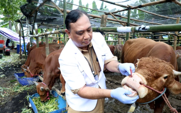 Thumbnail DKPP Surabaya Pastikan Hewan Kurban Surabaya Tak Terjangkit Penyakit