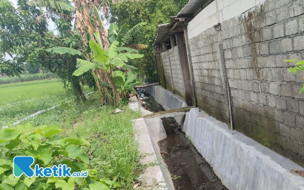 Thumbnail Berita - Baru Dibangun, Kualitas Drainase Senilai Rp 300 Juta dari BKK di Desa Plosogenuk Jombang Tuai Sorotan