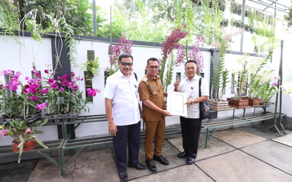Thumbnail Anggrek Dendrobium Prabowo Subianto untuk Sang Presiden, Karya Petani Kota Batu