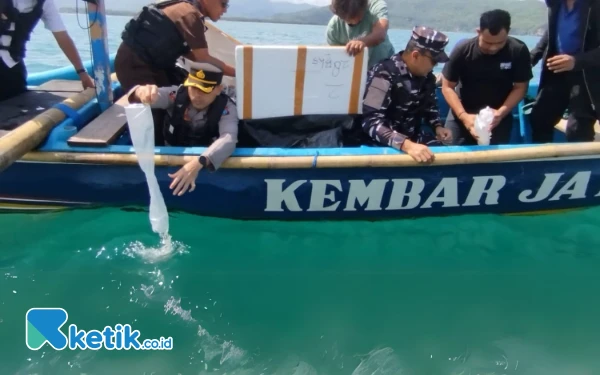 Thumbnail Kuota Benur Pacitan 2025 Ditetapkan 9 Juta Ekor, Ini Alur Legalnya