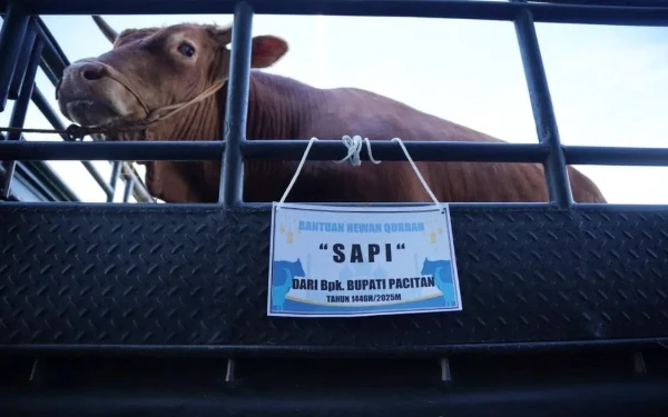 Thumbnail Idul Adha 1446 H, Bupati Pacitan Salurkan Hewan Kurban ke 12 Kecamatan