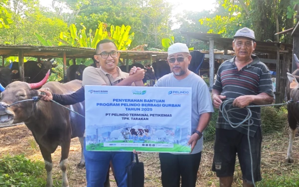 Thumbnail Sambut Iduladha, PT Pelindo Petikemas Siapkan Juleha Bersertifikat