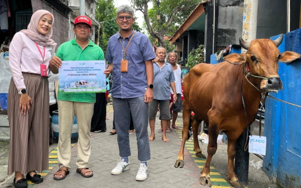 Thumbnail Pelindo Berbagi, Salurkan 2 Ekor Sapi dan 45 Kambing untuk Masyarakat pada Iduladha 1446 H