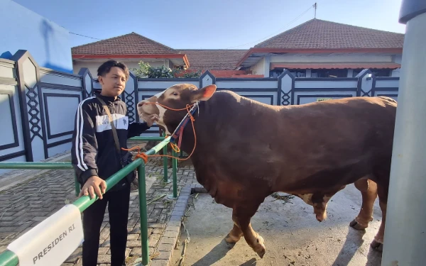 Thumbnail Berita - Presiden Prabowo Subianto Berkurban Dua Ekor Sapi di Tuban