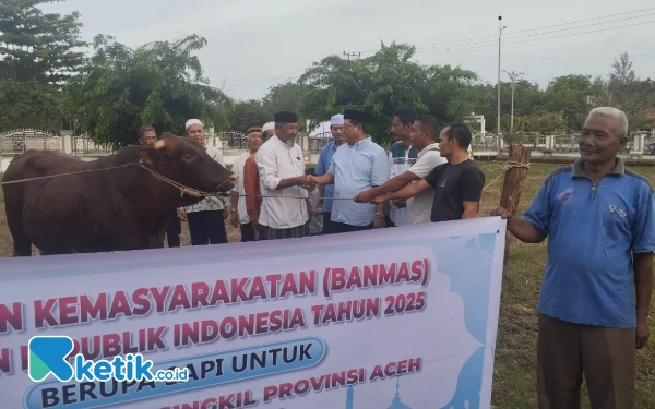 Thumbnail Berita - Bupati Aceh Singkil Serahkan Bantuan Sapi Kurban Presiden Prabowo ke Panitia Masjid Agung Nurul Makmur